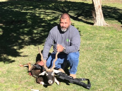 Blackbuck Antelope Hunt
