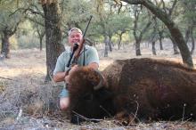 Texas Hunting Outfitters - WIld Buffalo Hunts
