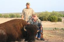 Texas Hunting Outfitters - WIld Buffalo Hunts