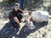 Texas Hunting Outfitters - Oryx Hunts