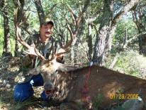 Texas Hunting Outfitters - Red Stag Hunts